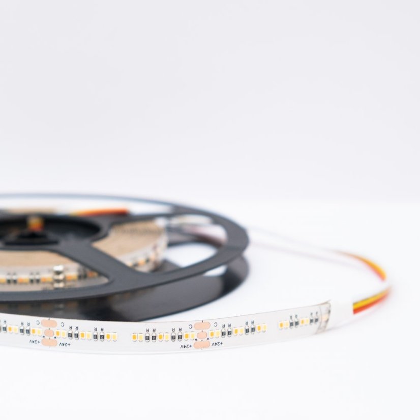 Taśma LED CCT 2w1 24Vna dzień i na noc