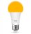 5W LED žárovka bez modré složky světla (E27)