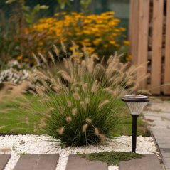 Solární venkovní lampa bez modré složky